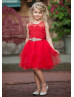 Red Lace Tulle Flower Girl Dress Kids Tutu Dress